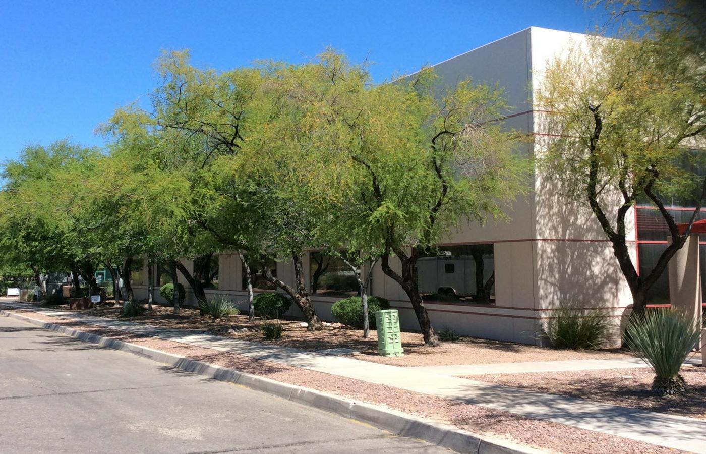Tilt-up light industrial building behind mature desert trees in a Tucson business park